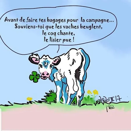 Comme Chez Vous. * Gesves